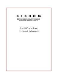 Audit Committee Terms of Reference