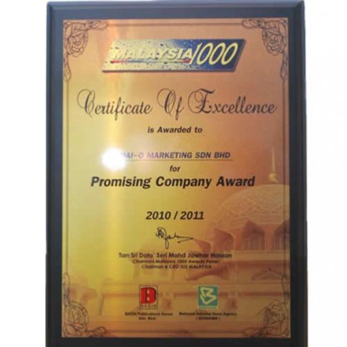 Promising Company Award 2010/2011
